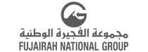 fng corportate logo